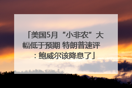 美国5月“小非农”大幅低于预期 特朗普速评：鲍威尔该降息了