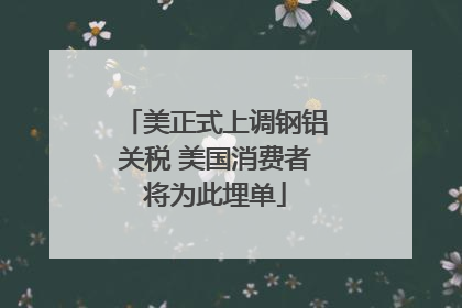 美正式上调钢铝关税 美国消费者将为此埋单