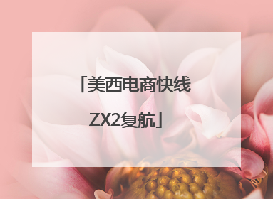 美西电商快线ZX2复航