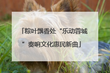 粽叶飘香处“乐动蓉城”奏响文化惠民新曲