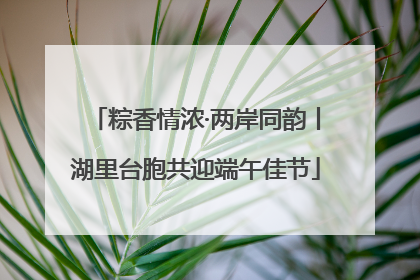 粽香情浓·两岸同韵丨湖里台胞共迎端午佳节