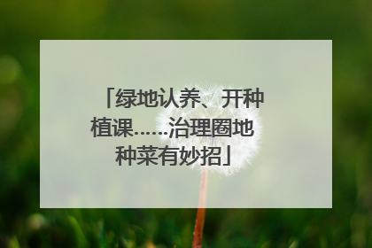 绿地认养、开种植课……治理圈地种菜有妙招