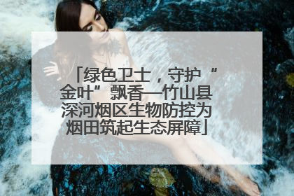 绿色卫士，守护“金叶”飘香—竹山县深河烟区生物防控为烟田筑起生态屏障