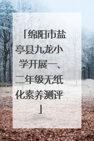 绵阳市盐亭县九龙小学开展一、二年级无纸化素养测评