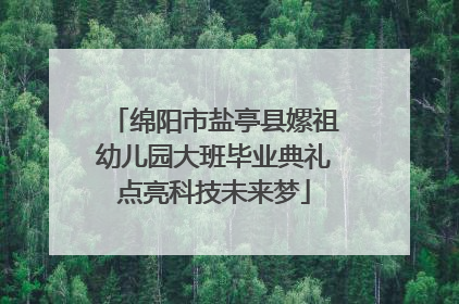 绵阳市盐亭县嫘祖幼儿园大班毕业典礼点亮科技未来梦