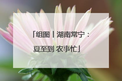 组图丨湖南常宁：夏至到 农事忙