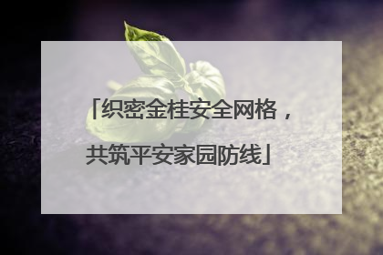 织密金桂安全网格，共筑平安家园防线