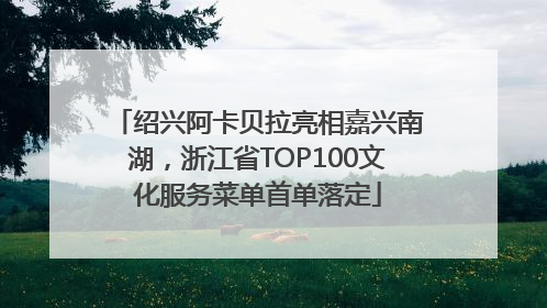 绍兴阿卡贝拉亮相嘉兴南湖,浙江省TOP100文化服务菜单首单落定