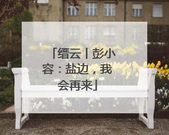 缙云丨彭小容：盐边，我会再来