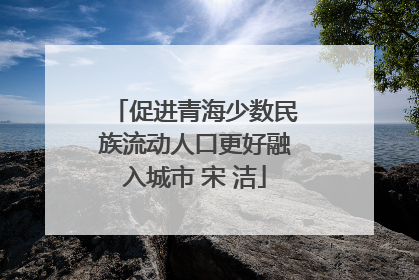 促进青海少数民族流动人口更好融入城市 宋 洁