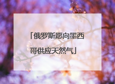 俄罗斯愿向墨西哥供应天然气