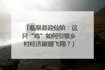 临泉县迎仙镇：这只“鸡”如何引领乡村经济展翅飞翔？