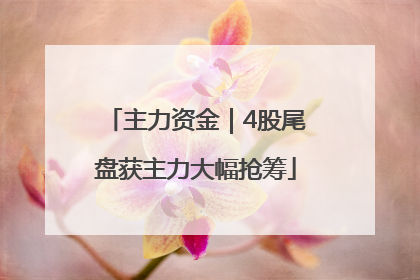主力资金｜4股尾盘获主力大幅抢筹