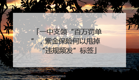 一中支领“百万罚单”，紫金保险何以甩掉“违规频发”标签