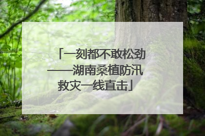 一刻都不敢松劲——湖南桑植防汛救灾一线直击