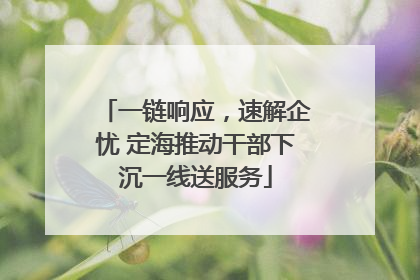 一链响应，速解企忧 定海推动干部下沉一线送服务