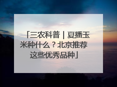 三农科普｜夏播玉米种什么？北京推荐这些优秀品种