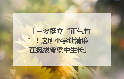 三姿挺立“正气竹”！这所小学让清廉在挺拔脊梁中生长
