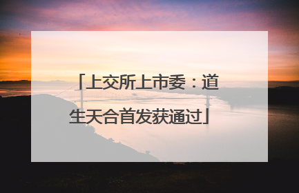 上交所上市委：道生天合首发获通过