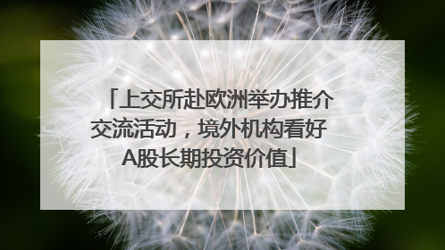 上交所赴欧洲举办推介交流活动，境外机构看好A股长期投资价值