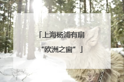 上海杨浦有扇“欧洲之窗”