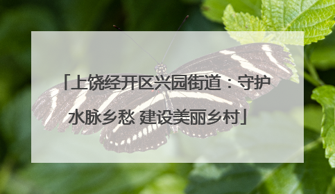 上饶经开区兴园街道：守护水脉乡愁 建设美丽乡村