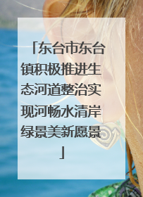东台市东台镇积极推进生态河道整治实现河畅水清岸绿景美新愿景