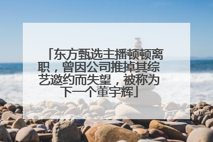 东方甄选主播顿顿离职，曾因公司推掉其综艺邀约而失望，被称为下一个董宇辉