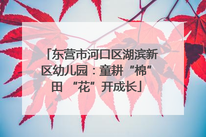 东营市河口区湖滨新区幼儿园：童耕“棉”田 “花”开成长