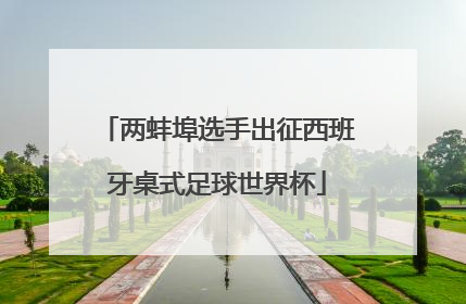 两蚌埠选手出征西班牙桌式足球世界杯