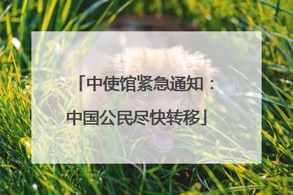 中使馆紧急通知：中国公民尽快转移
