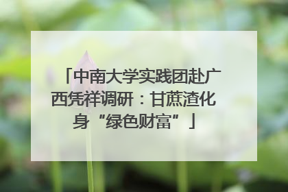 中南大学实践团赴广西凭祥调研：甘蔗渣化身“绿色财富”
