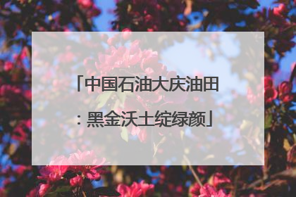中国石油大庆油田：黑金沃土绽绿颜