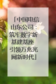 中国电信山东公司：筑牢数字新基建基座 引领万兆光网新时代