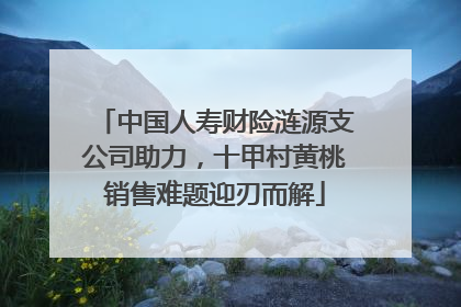 中国人寿财险涟源支公司助力，十甲村黄桃销售难题迎刃而解