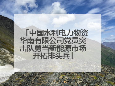 中国水利电力物资华南有限公司党员突击队勇当新能源市场开拓排头兵