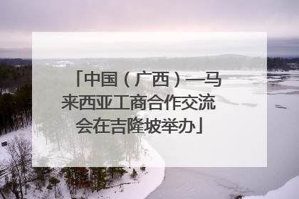 中国（广西）—马来西亚工商合作交流会在吉隆坡举办