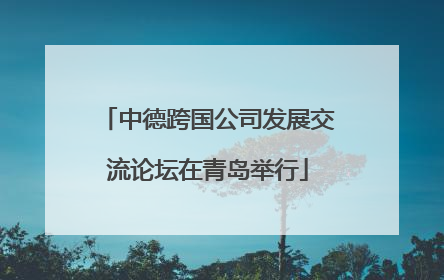 中德跨国公司发展交流论坛在青岛举行