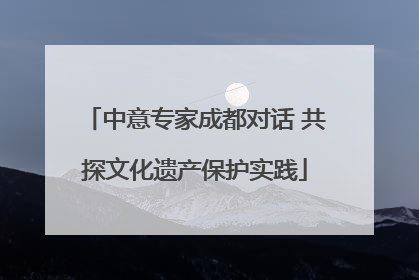 中意专家成都对话 共探文化遗产保护实践