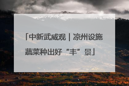 中新武威观｜凉州设施蔬菜种出好“丰”景