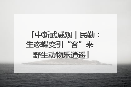 中新武威观｜民勤：生态蝶变引“客”来 野生动物乐逍遥