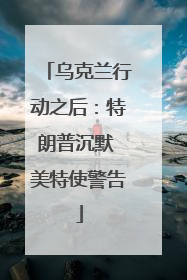 乌克兰行动之后：特朗普沉默 美特使警告