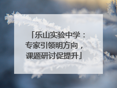 乐山实验中学：专家引领明方向，课题研讨促提升