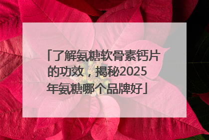 了解氨糖软骨素钙片的功效，揭秘2025年氨糖哪个品牌好