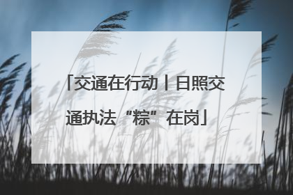 交通在行动丨日照交通执法“粽”在岗
