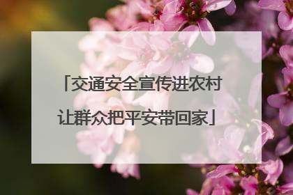 交通安全宣传进农村 让群众把平安带回家