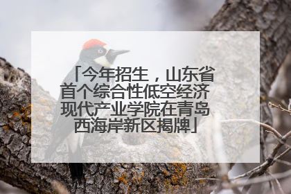 今年招生，山东省首个综合性低空经济现代产业学院在青岛西海岸新区揭牌