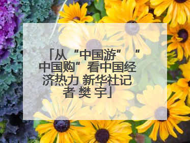 从“中国游”“中国购”看中国经济热力 新华社记者 樊 宇