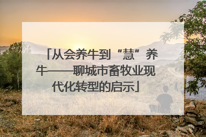 从会养牛到“慧”养牛——聊城市畜牧业现代化转型的启示