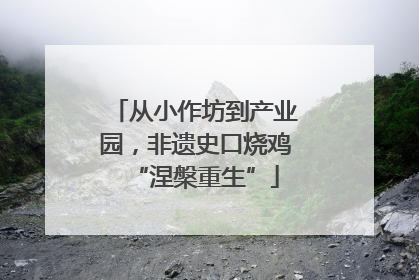 从小作坊到产业园，非遗史口烧鸡“涅槃重生”